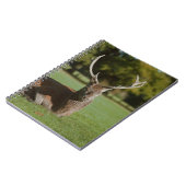 Buck-Reh-Notebook Notizblock (Linke Seite)