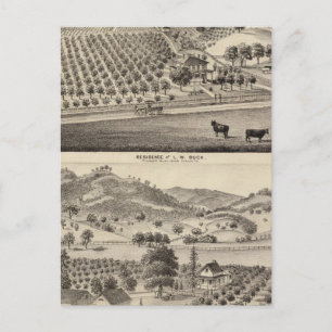 Buck res, Bunker Hill Farm Postkarte