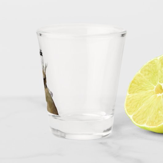 Buck Schnapsglas (Rechts)