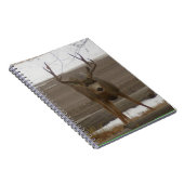 Buck Spiral Notebook Notizblock (Rechte Seite)