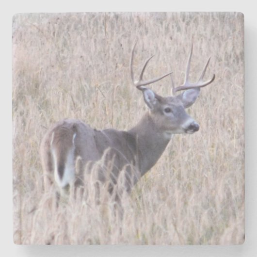 Buck Stops Hier Stone Untersetzer (Vorderseite)