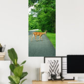 Buck über die Straße Poster (Heimbüro)