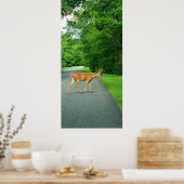 Buck über die Straße Poster (Küche)