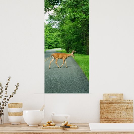 Buck über die Straße Poster (Küche)