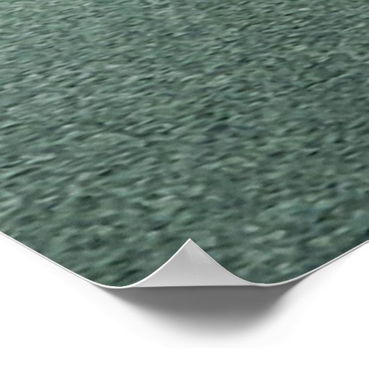 Buck über die Straße Poster (Ecke)