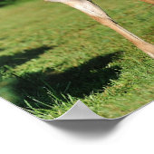 Buck von Angel Cher Poster (Ecke)