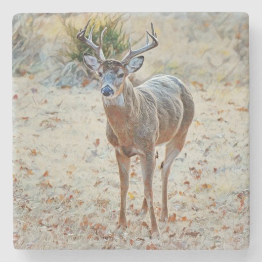 Buck Wild Deer Texas Stone Untersetzer (Vorderseite)