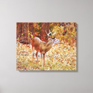 Buck Wild Dez in Woods Leinwand Print