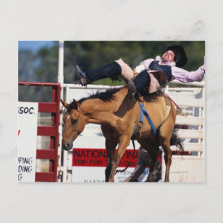 BUCKBRONCO BEI RODEO 3 POSTKARTE
