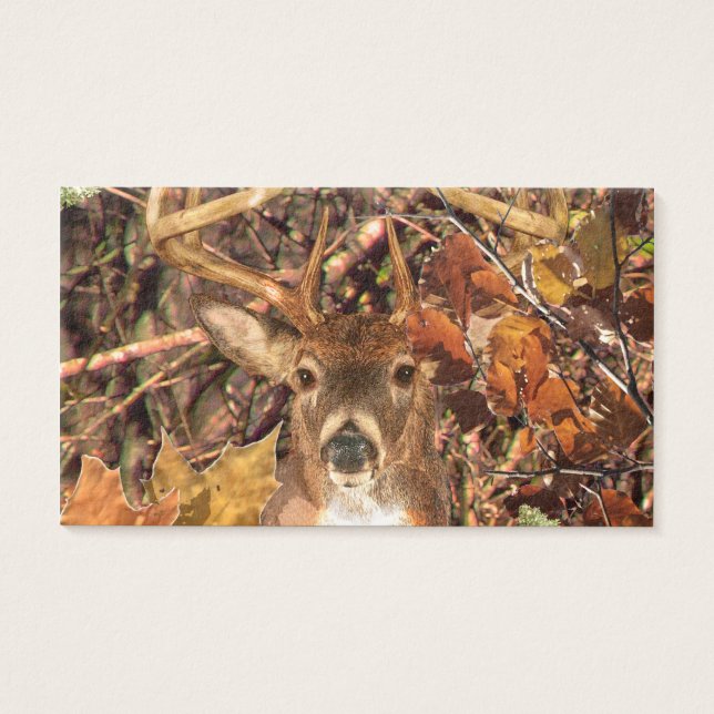 Buckel in Camouflage Weißer Schwanz Hirsch (Vorderseite)