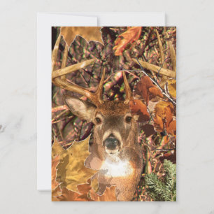 Buckel in Camouflage Weißer Schwanz Hirsch