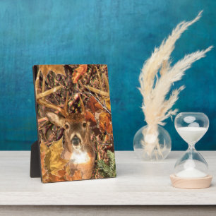 Buckel in Camouflage Weißer Schwanz Hirsch Fotoplatte