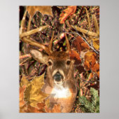 Buckel in Herbst Camouflage Weißer Schwanz Hirsch Poster (Vorne)