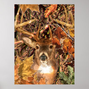 Buckel in Herbst Camouflage Weißer Schwanz Hirsch Poster