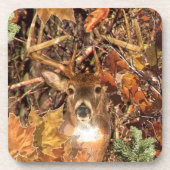 Buckel in Jäger Camouflage Weißer Schwanz Hirsch Getränkeuntersetzer (Vorderseite)