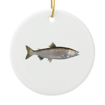 Buckel-Lachse (Ozeanphase)