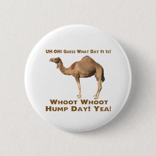 Kamele Buttons Zazzle De