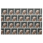 Buckel-Tageskamel Stoff (Fat Quarter (45,7 x 55,9 cm))