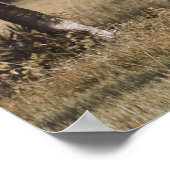 Buckel unter den Eichen Poster (Ecke)