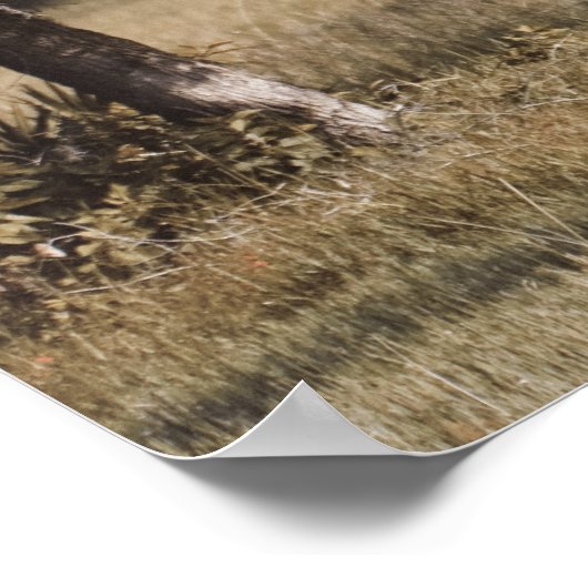 Buckel unter den Eichen Poster (Ecke)