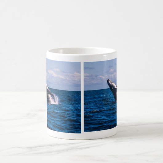 Buckel-Wal-Bruch-Kaffee-Tasse Kaffeetasse (Mittel)