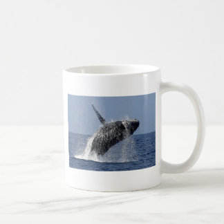 Buckel-Wal Coofee Tasse
