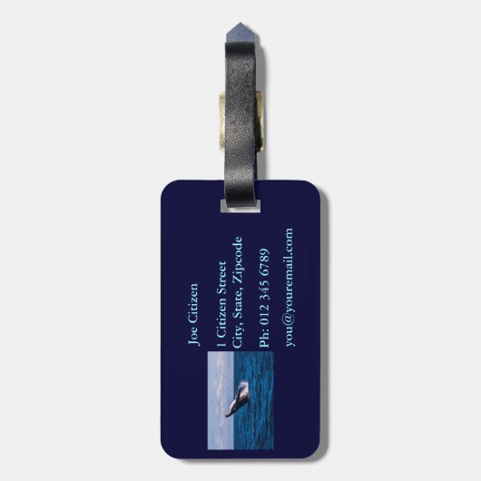 Buckel-Wal, der Gepäckanhänger durchbricht (Rückseite vertikal)