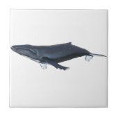 Buckel-Wal im Profil Fliese (Vorderseite)