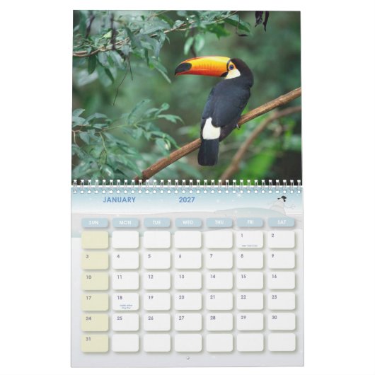 Buckel-Wal, Kalender 20010 (Jan 2027)