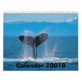 Buckel-Wal, Kalender 20010 (Titelbild)