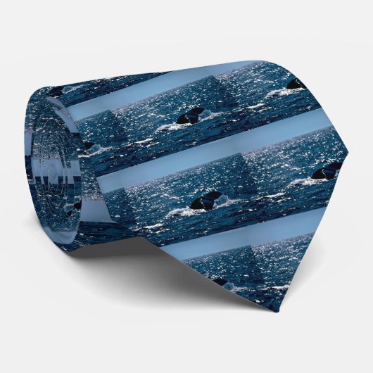 Buckel-Wal, Mexiko Krawatte (Gerollt)