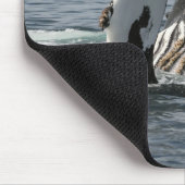 Buckel-Wal Mousepad (Ecke)