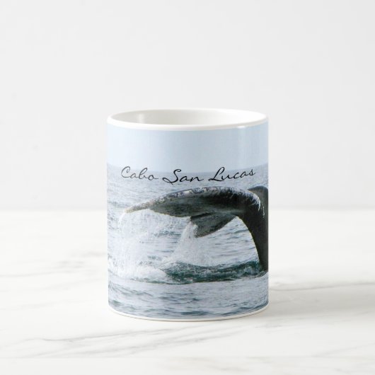 Buckel-Wal-Schwanz, Cabo San Lucas Kaffeetasse (Mittel)