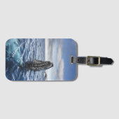 Buckel-Wal Spyhops | Hoffnungs-Bucht, die Gepäckanhänger (Vorderseite (Horizontal))