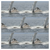 Buckel-Wal Stoff (Muster)