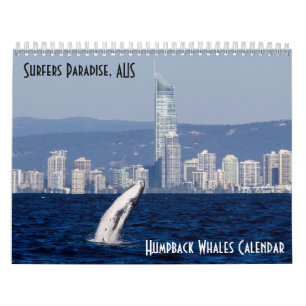 Buckel-Wal-Surfer-Paradies-Pazifischer Ozean Kalender