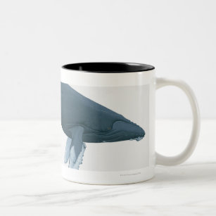 Buckel-Wal Zweifarbige Tasse
