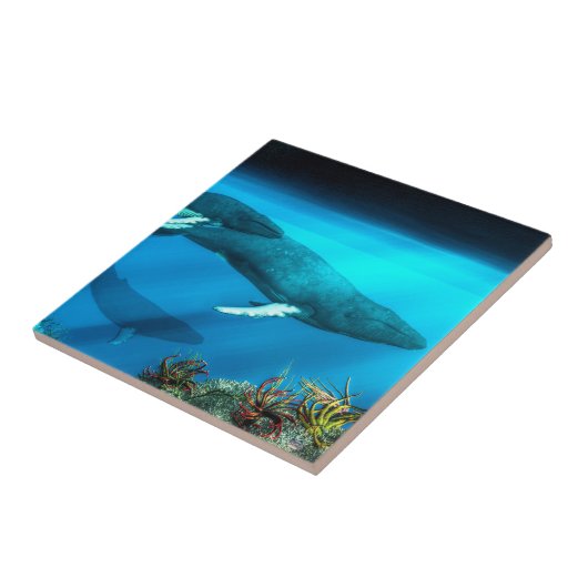 Buckel-Wale Fliese (Seite)