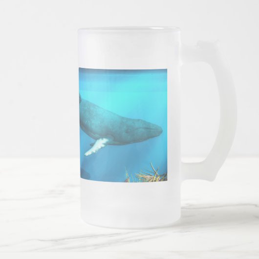 Buckel-Wale Mattglas Bierglas (Rechts)