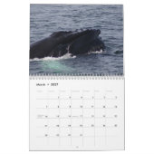 Buckel-Wale von Stelwagen Bank Kalender (Mär 2027)