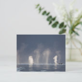 Buckel-WaleMegaptera novaeangliae) Postkarte (Stehend Vorderseite)