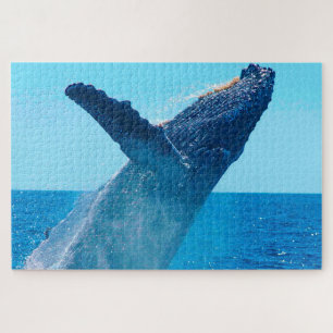 Buckelwal Alaska Puzzle