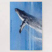 Buckelwal Alaska Puzzle (Vertikal)