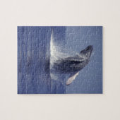 Buckelwal bricht durch (Megaptera Puzzle (Horizontal)