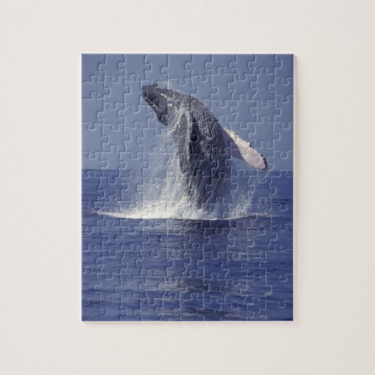 Buckelwal bricht durch (Megaptera Puzzle (Vertikal)