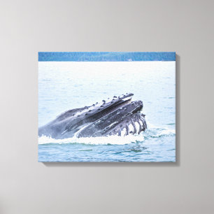 Buckelwal in Alaska Leinwanddruck