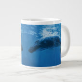 Buckelwal Jumbo-Tasse (Vorderseite Rechts)