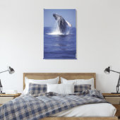 Buckelwal (Megaptera) Leinwanddruck (Insitu (Schlafzimmer))