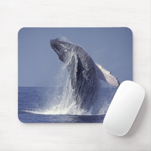 Buckelwal (Megaptera) Mousepad (Mit Mouse)