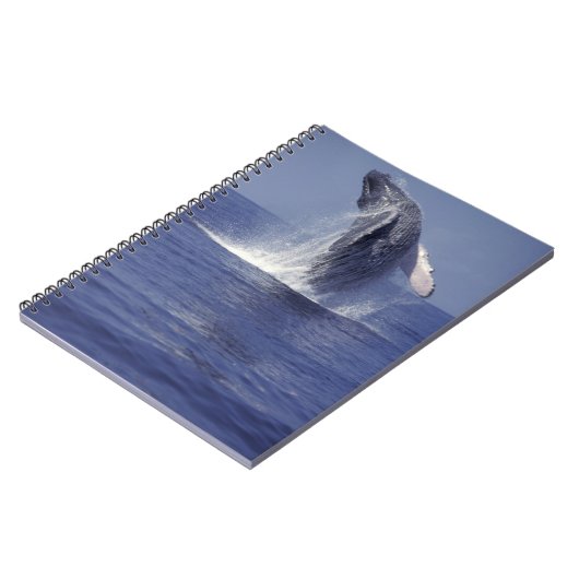 Buckelwal (Megaptera) Notizblock (Linke Seite)